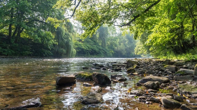 Wupper in Solingen Wupper in Solingen
